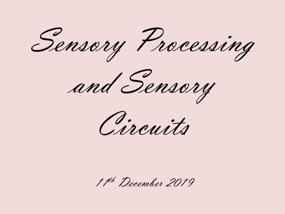 Miss Leadbetter: Sensory Processing and Sensory Circuits