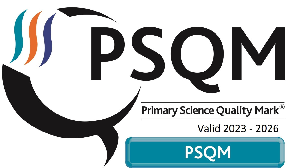 PSQM 2023 logo
